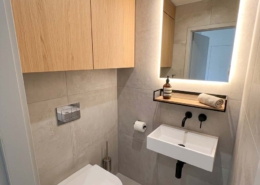 8. Gäste WC - KI Umbauvariante